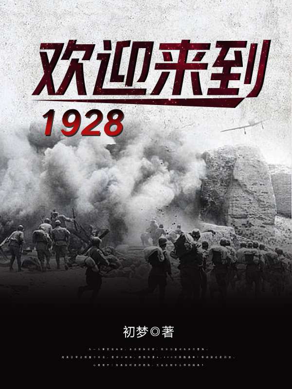 欢迎来到1928 - 有毒小说网
