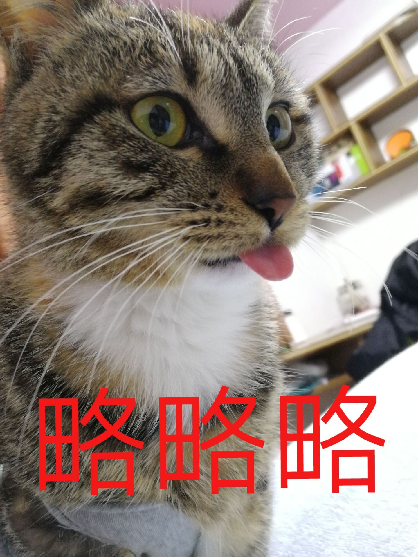 头像