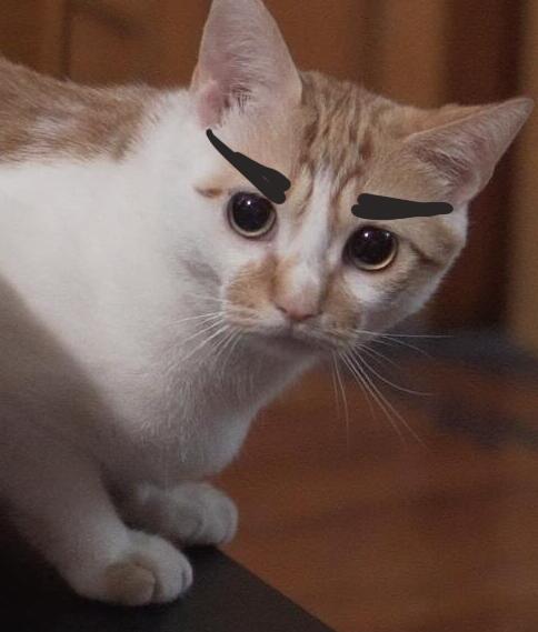 头像
