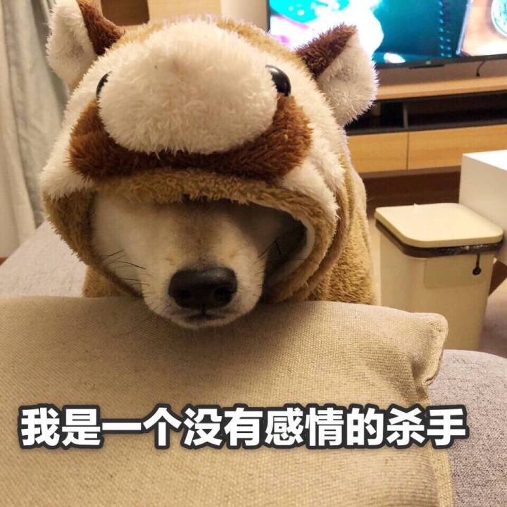 头像