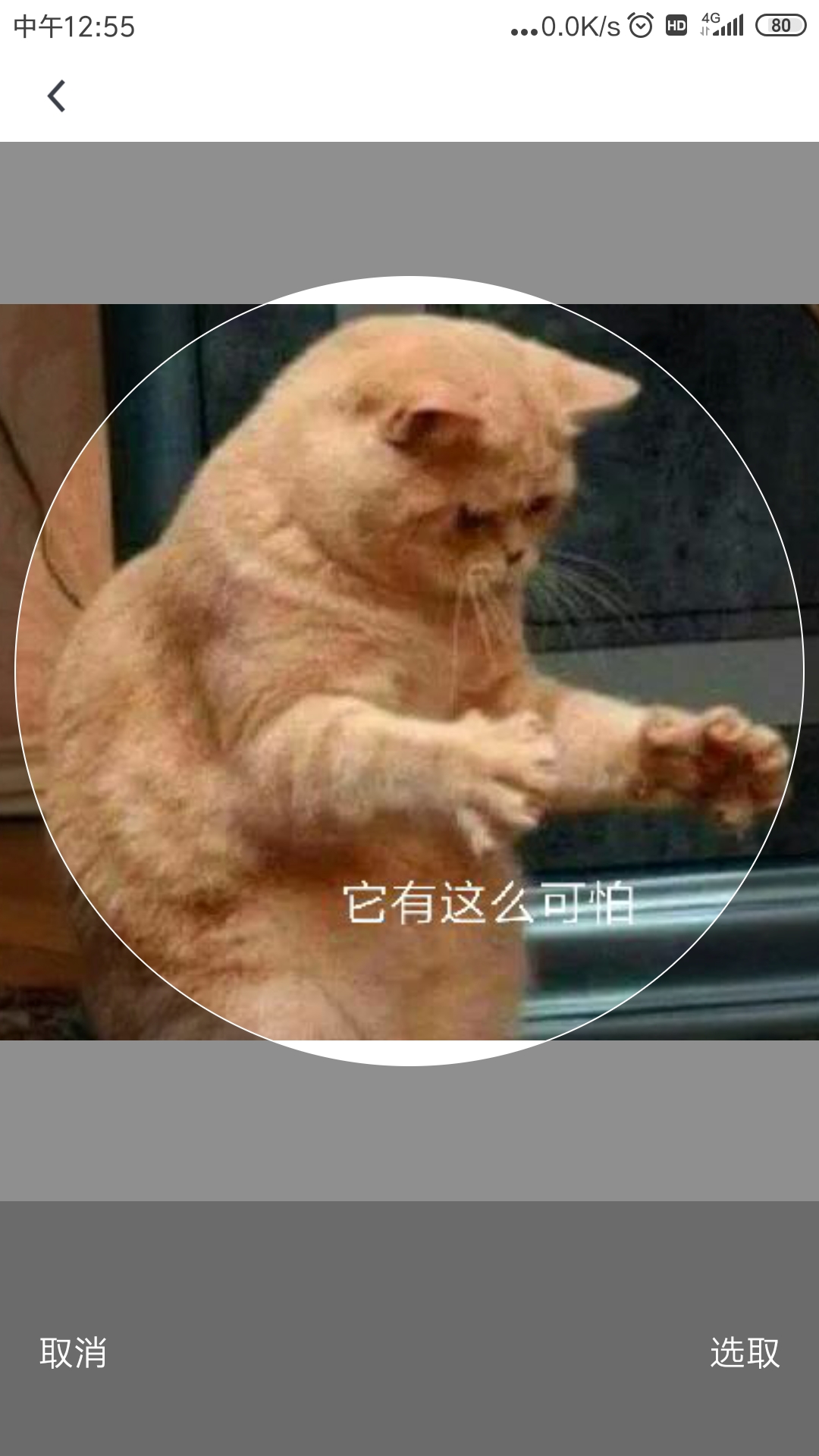 头像