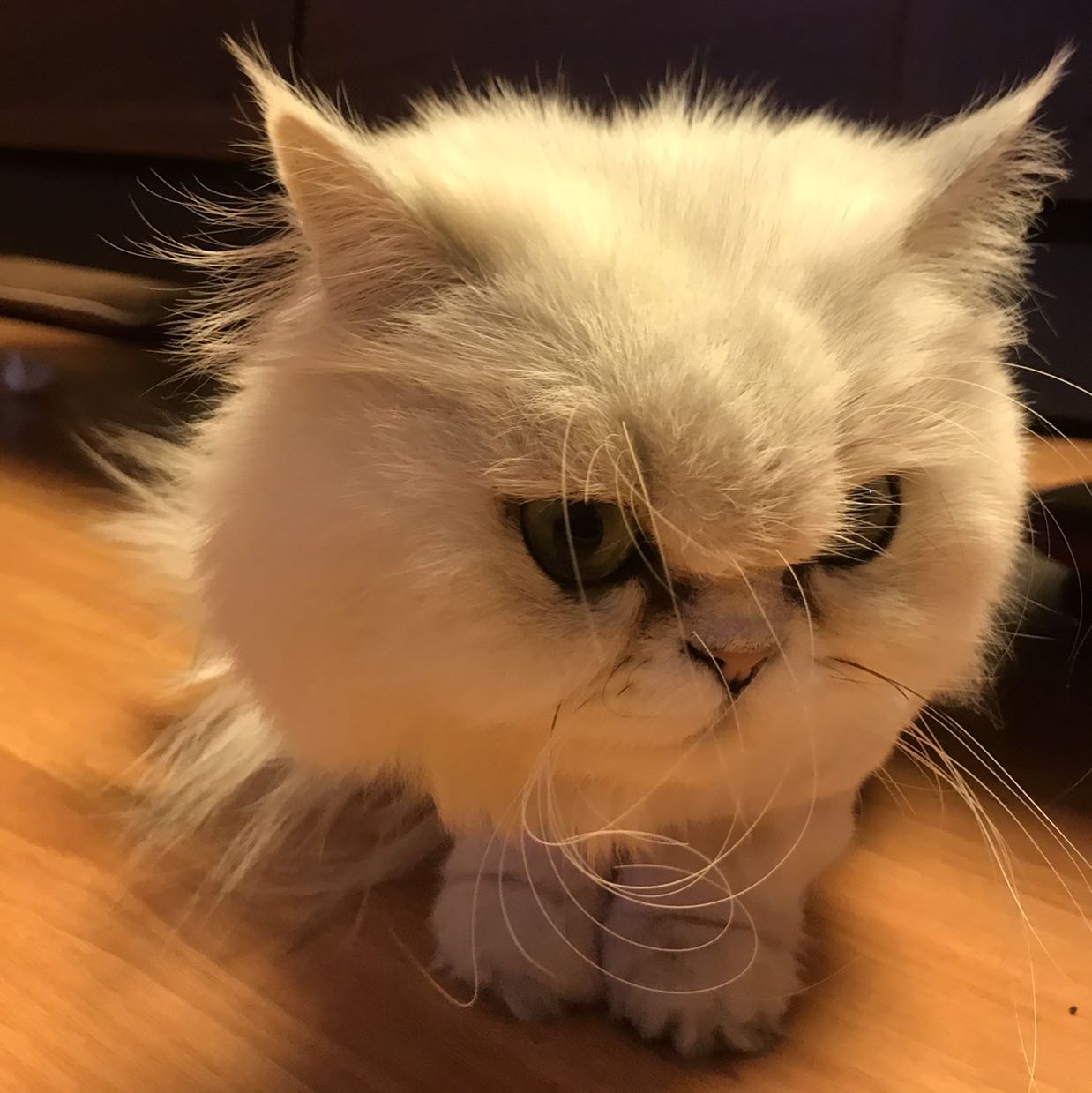 头像